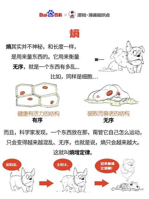 熵值法在学术研究中的妙用：揭开客观赋权的神秘面纱