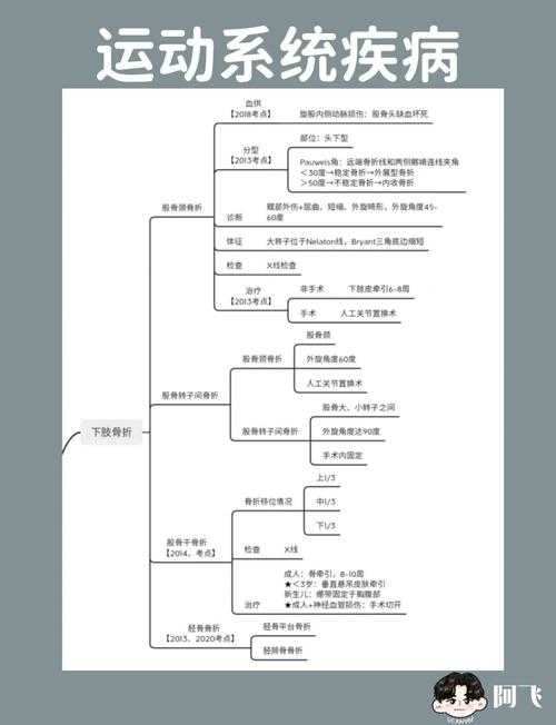 如何系统解剖青年运动史：从选题到传播的全链条研究指南