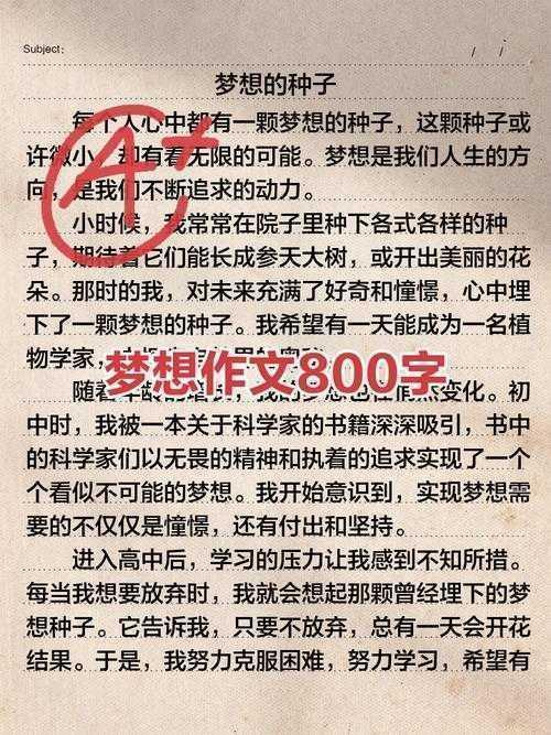 梦想实现的认知密码：议论文写作中的自我效能感研究