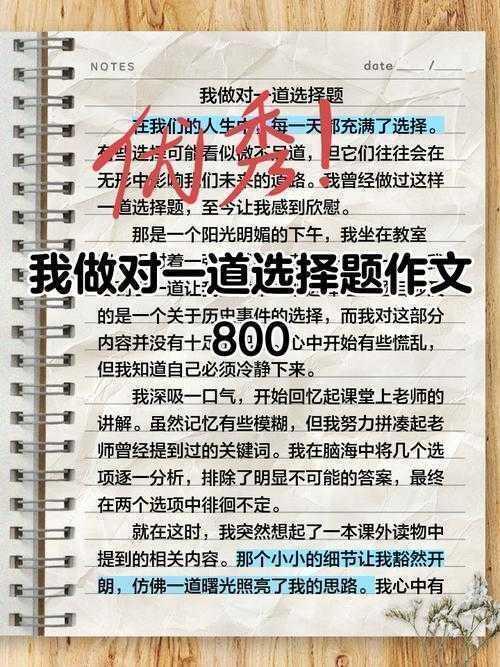 议论文写作中的抉择主题分析：策略与方法