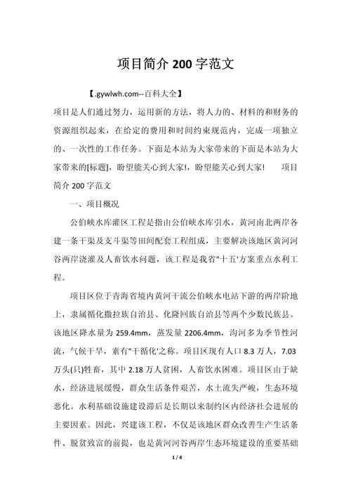 论文项目简介怎么写