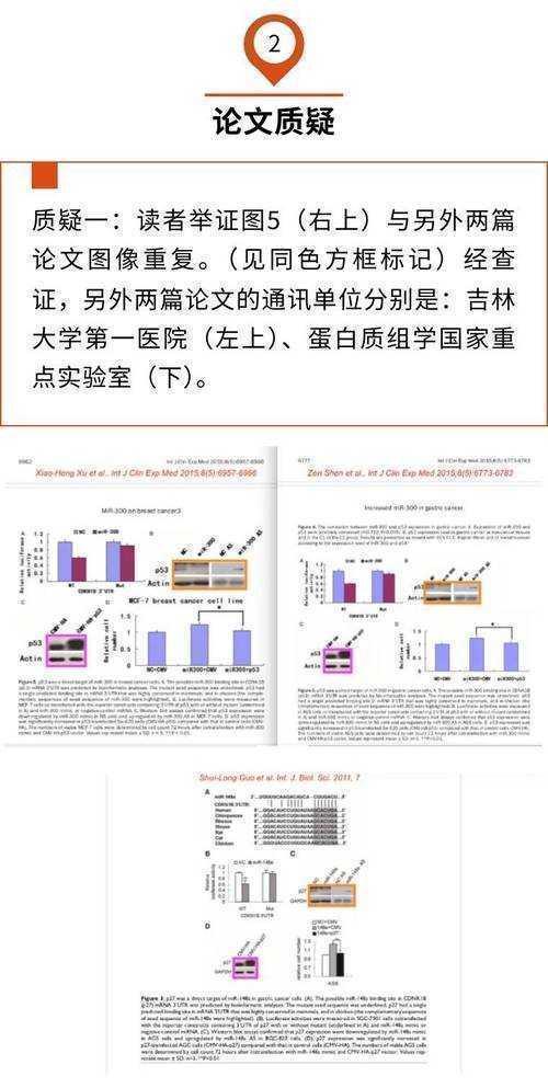 重磅调查！发表论文什么位次竟决定你的学术生命线？