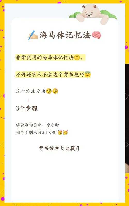 别再死记硬背了！解锁高效阅读的密码：“马理论论文怎么读”