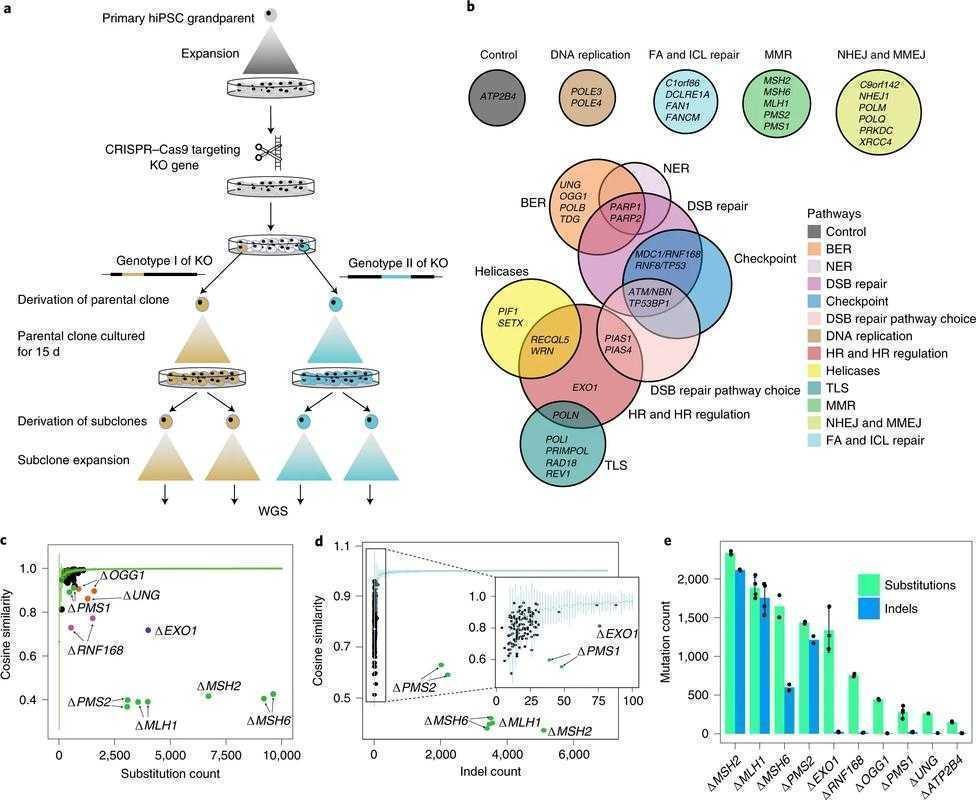 科研人员必看：解密SCI论文8分背后的真实含义