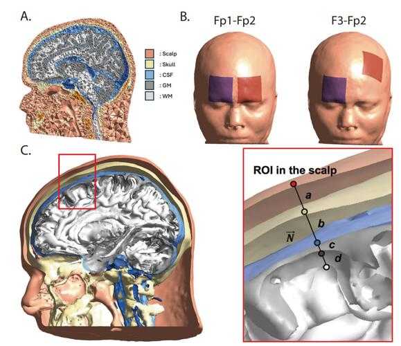 日语议论文的骨架拆解：与中文比较下的结构差异探析