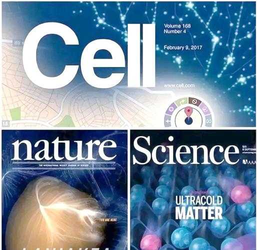 揭秘：cns论文是什么论文？顶级科学家都在追逐的圣杯