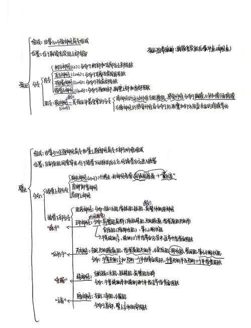 神经认知视角下速写流畅度提升的实证研究与方法论框架