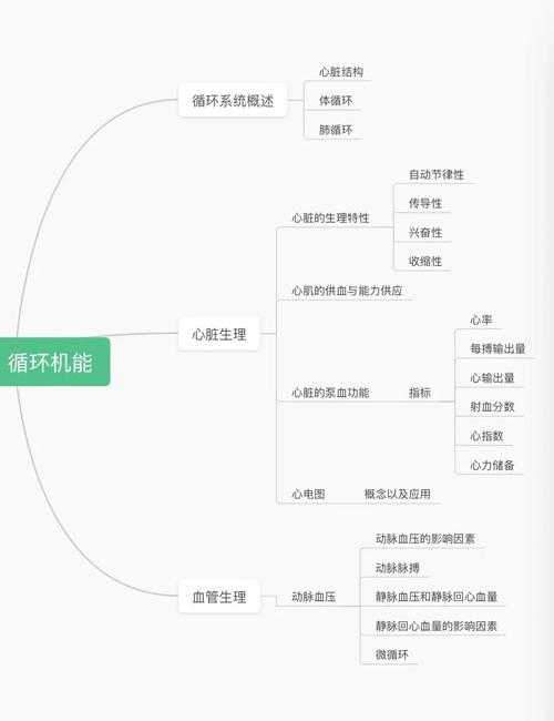 体能概念的解构与重构：从生理指标到功能表现的学术探索