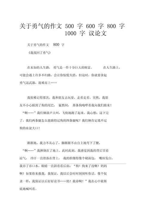 勇气议题的议论文教学：从理论框架到课堂实践的探索