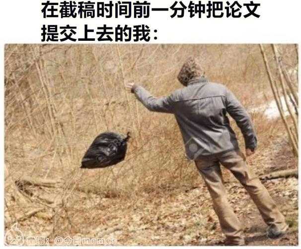 刚读研就被论文图表搞懵？图1-1到底在说什么？