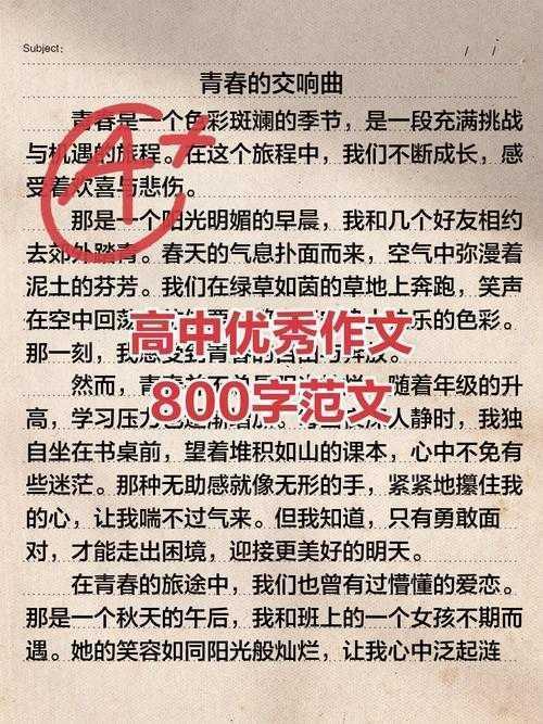 别让汗水白流：高中生议论文写作中的效率陷阱与突围策略