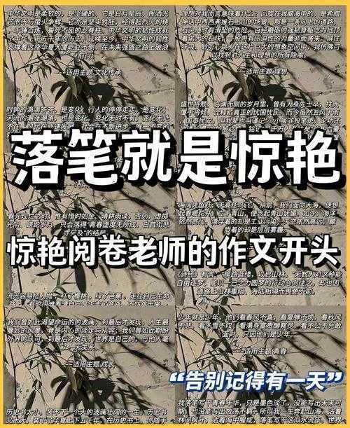揭开写作技巧的魔法：议论文引用开头如何赏析，让阅卷老师眼前一亮！