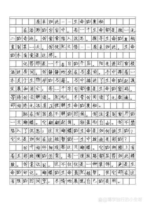 脑袋空空怎么写议论文