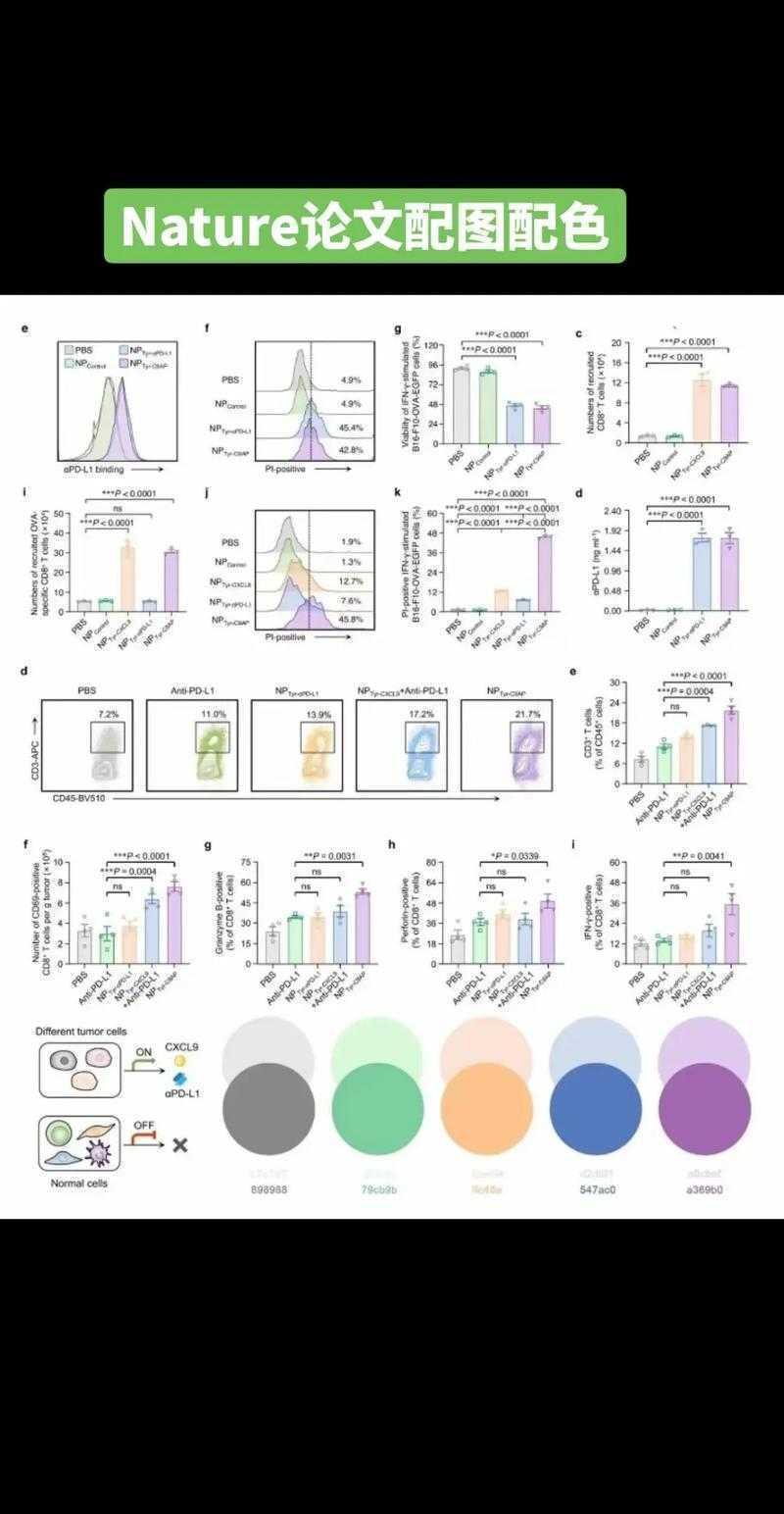 论文图形怎么添色