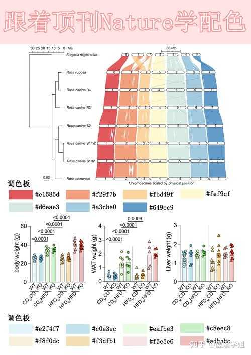 搞定学术规范:论文CIE色温怎么标才能让审稿人眼前一亮?