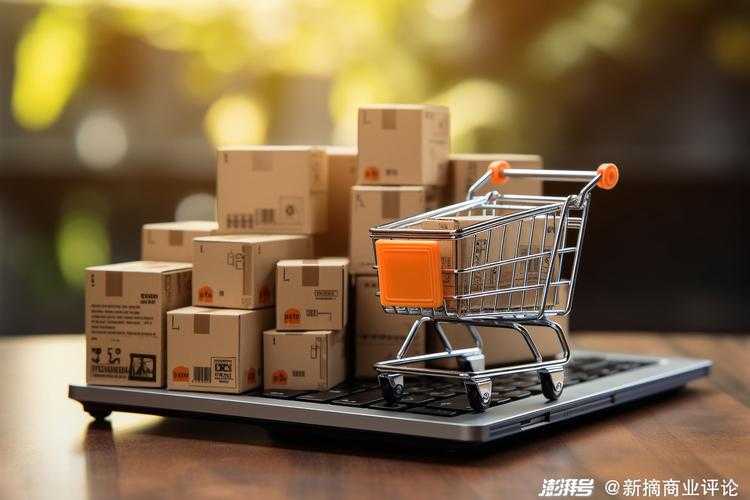 跨学科透视：双十一购物狂欢在各专业论文中的全景图景