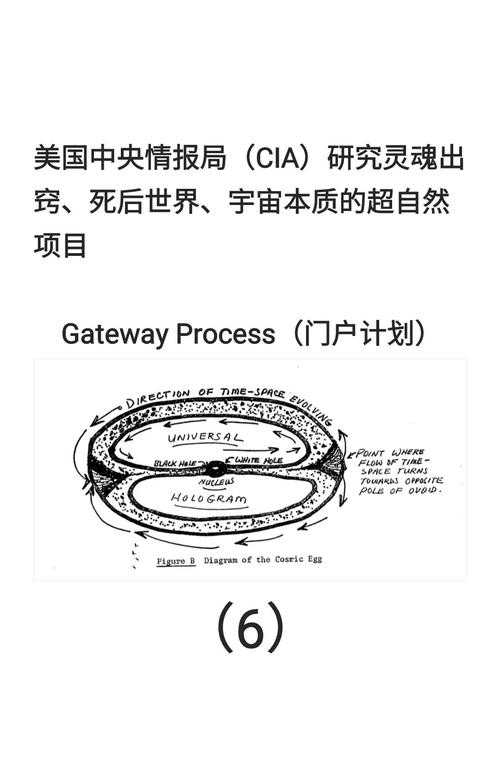 在议论文中修炼情报意识：研究者的秘密武器