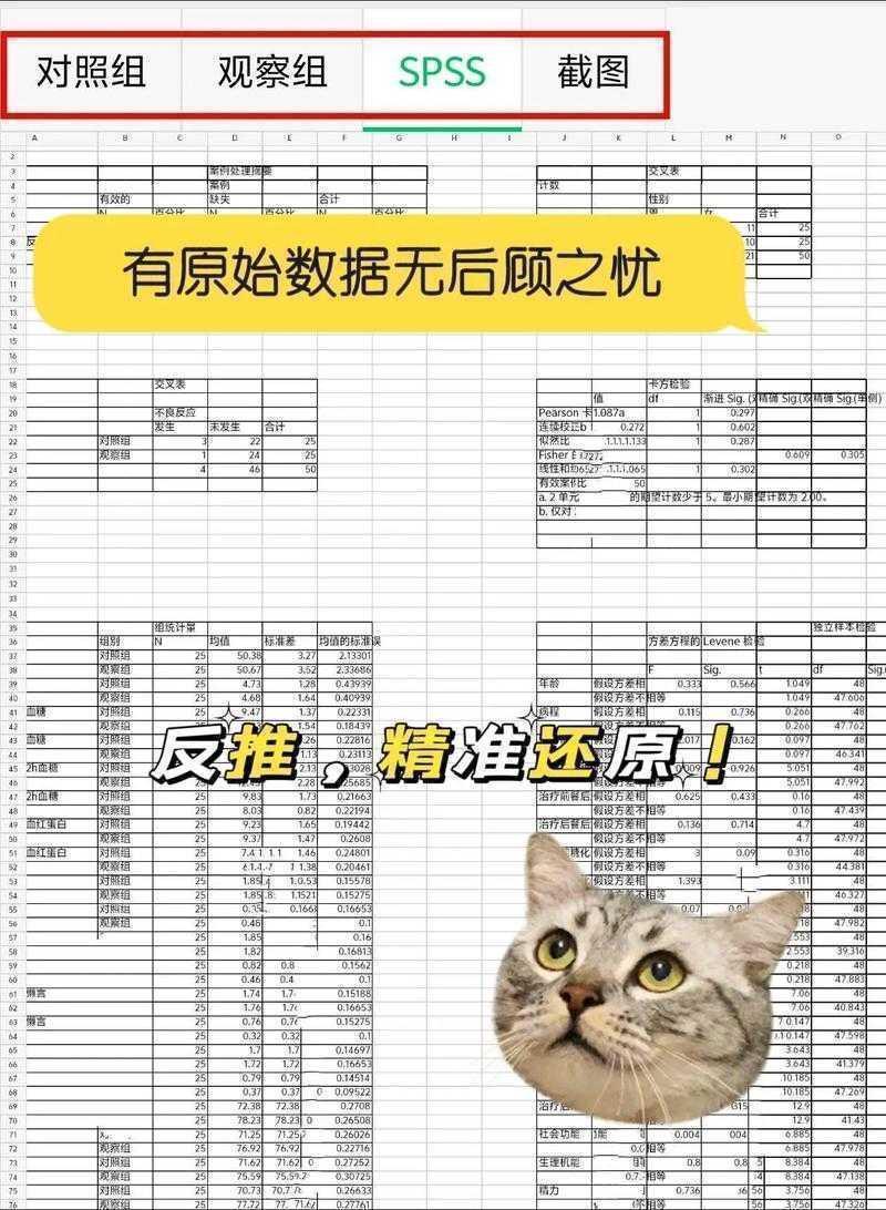 别再犯难了!看这篇就懂:原始数据怎么放进论文