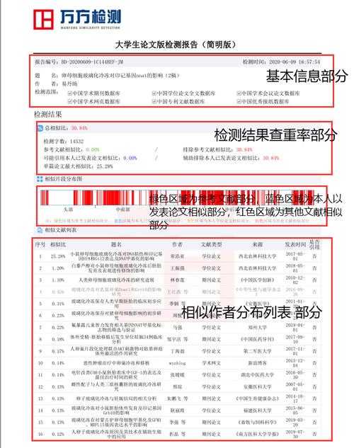 学术界的幽灵猎手：谁在算法背后执行最严查重？