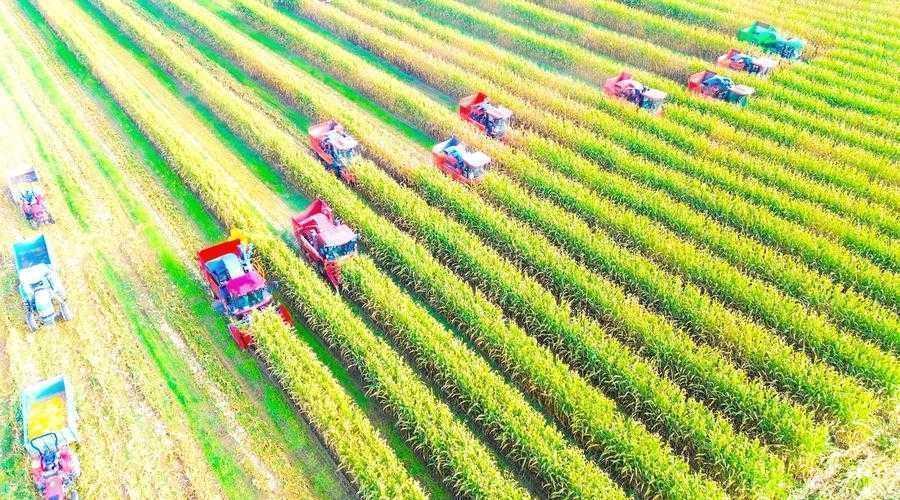 豪江区域经济潜力：绿色发展、产业协同与政策创新