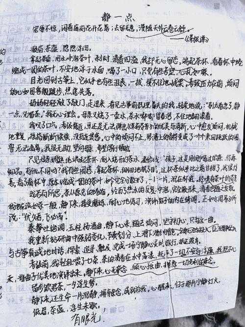 解密成功议论文：学术视角下的写作密码