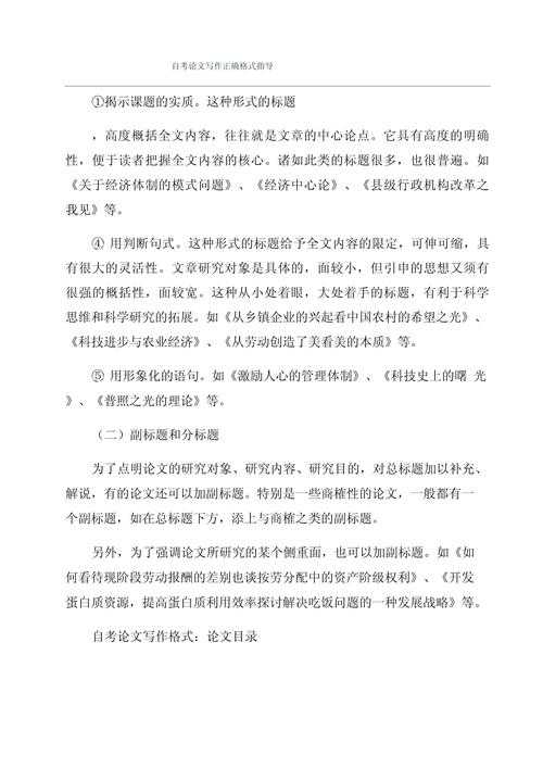 论文指导制度怎么写