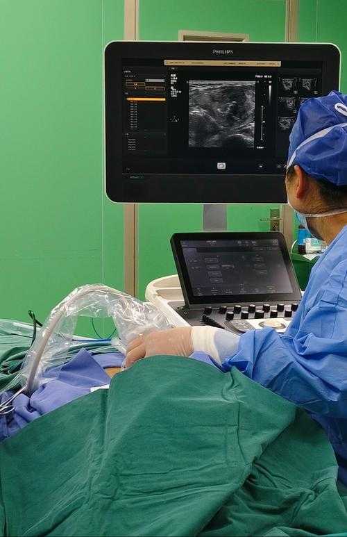 别让心血白费！论文写一半怎么保存？这份学术生存指南请收好