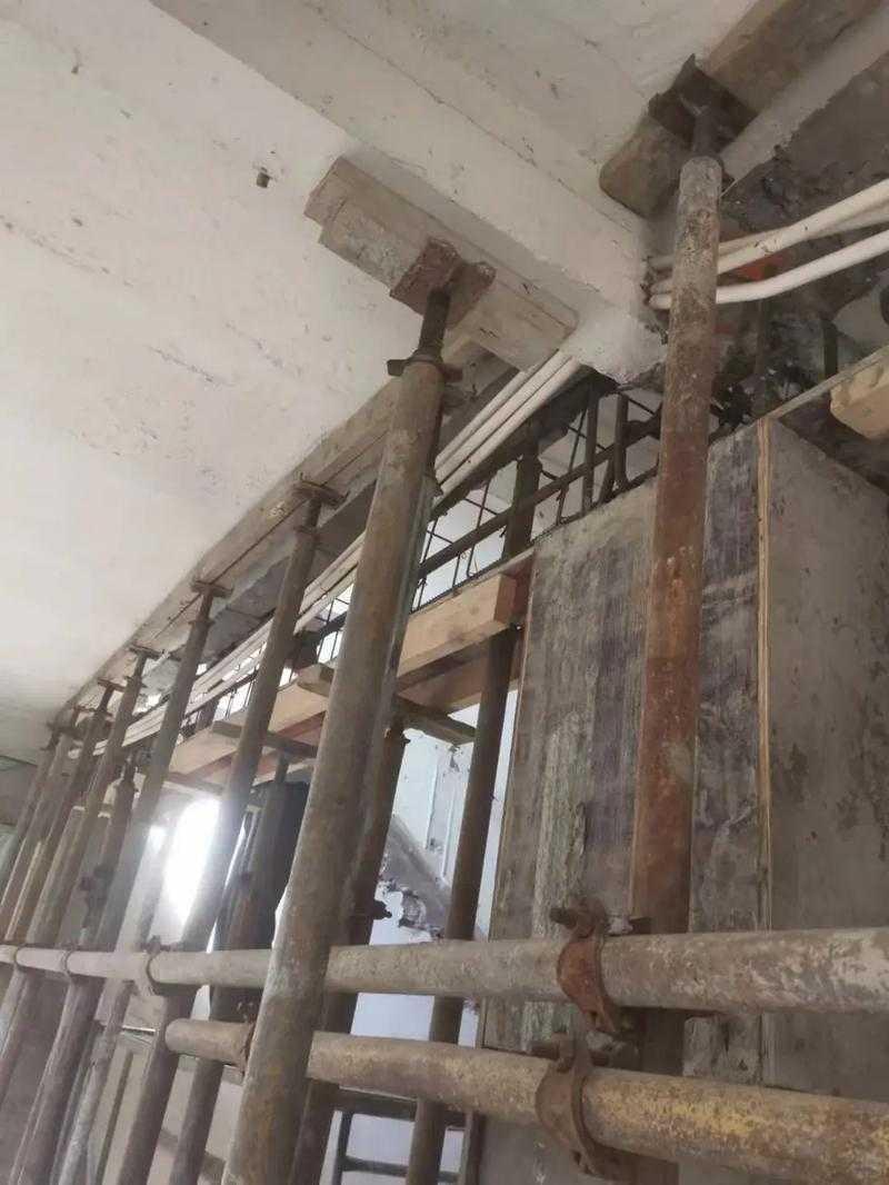 从危房改造到立论加固:当我们在议论文里谈“装水泥”时到底在谈什么