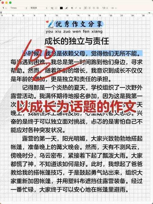 成长的关键因素议论文：实践者的深度对话