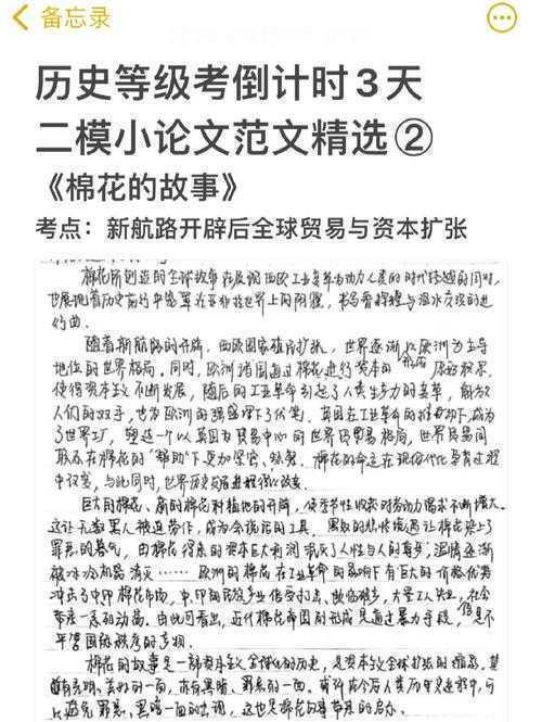 历史小论文怎么写八上