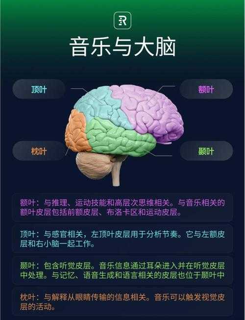 背景音乐如何塑造你的学术思维:基于认知神经科学的音乐偏好建议