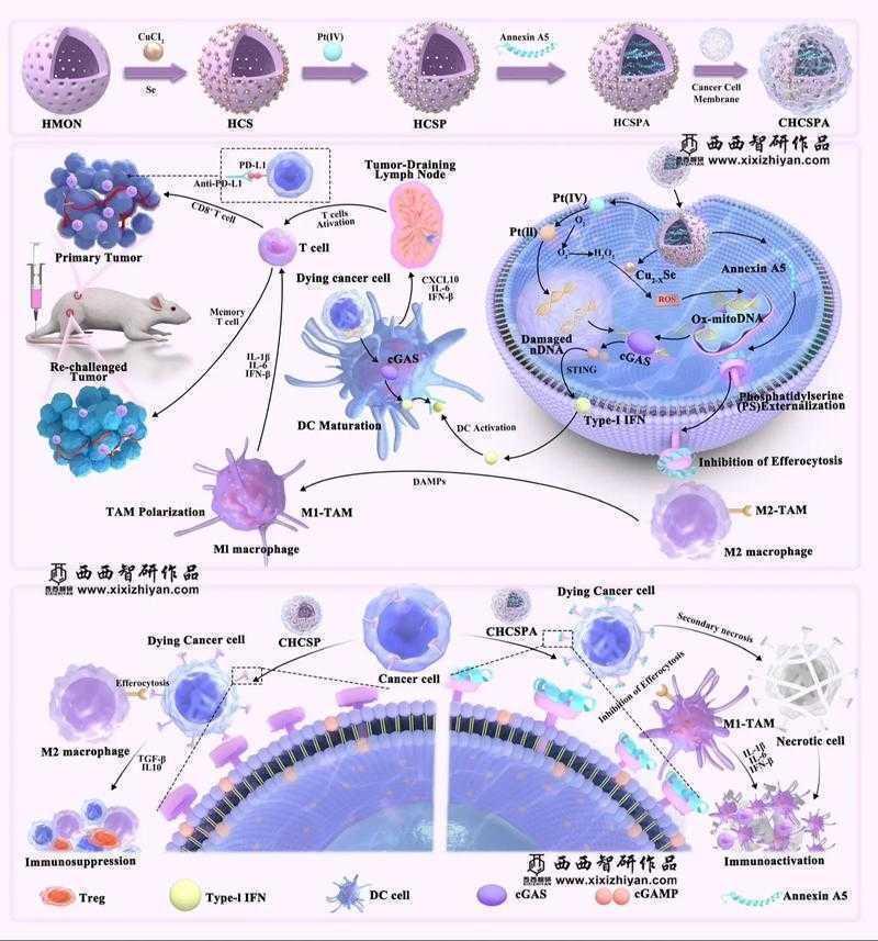 搞定科研配图：论文包里那些图到底该怎么设计才能让编辑一眼爱上？