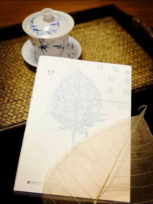 从读者角度反推：让督导论文摘要成为你的学术敲门砖