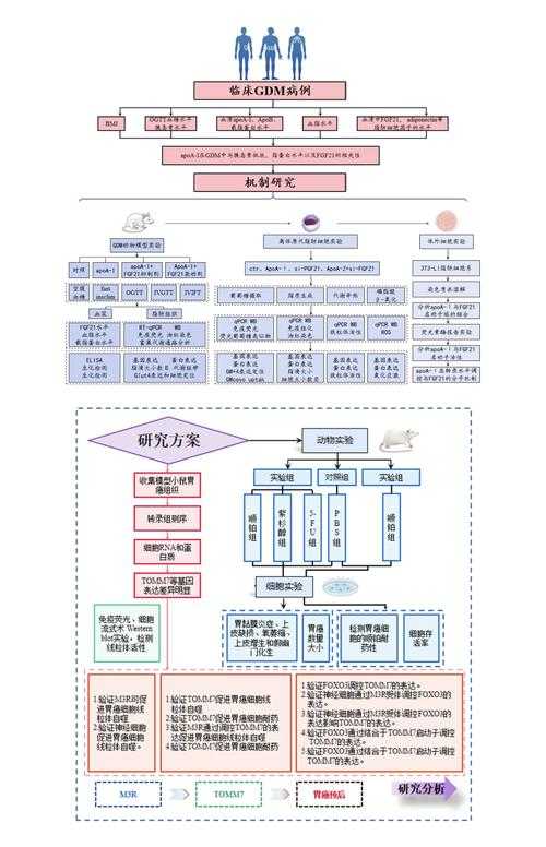 从入门到精通：论文中怎么用模型表示，让你的研究更有说服力