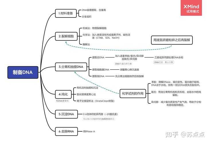 议论文的DNA：解构高分写作的核心要素图谱