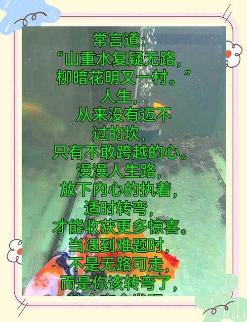 人生拐弯处，需要什么行囊？