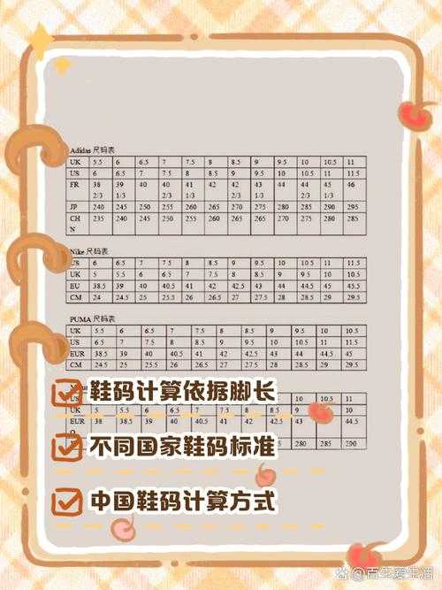 鞋码怎么算论文数据：从概念混淆到研究落地的完整指南