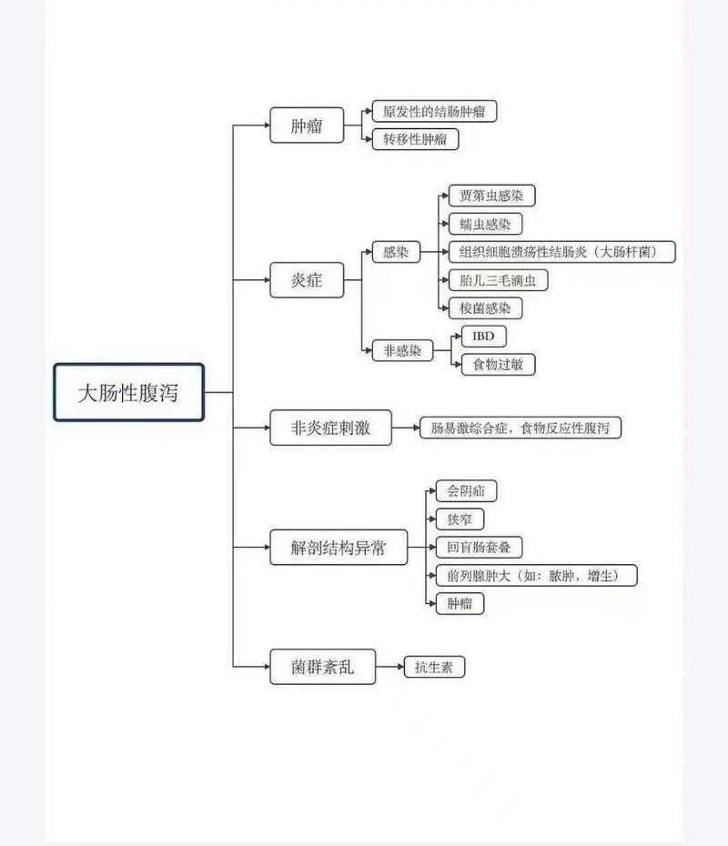 兽医研究的探路灯：解密动物医学论文的核心价值与实践密码