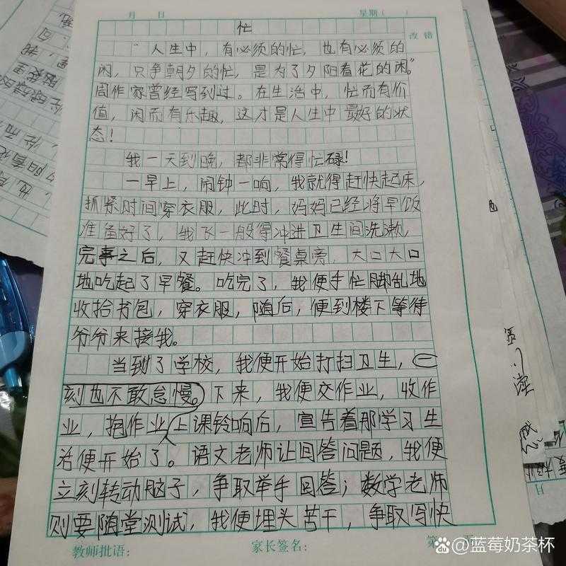 时间管理视角下的忙与闲议论文主题探究