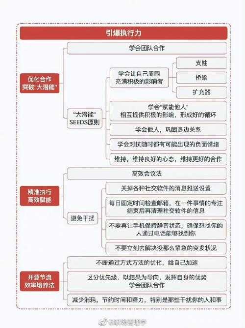 基于自我调节理论的拖延行为干预：可落地的执行力培养方案