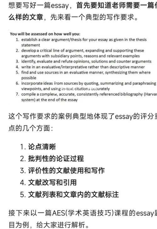 终极指南:案例小论文怎么写?让学术菜鸟秒变高手
