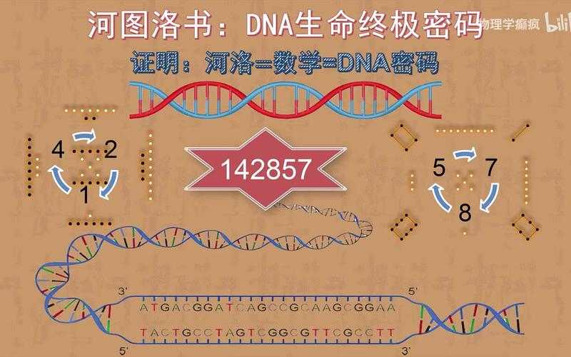 你的研究DNA：解构论文的独立性密码