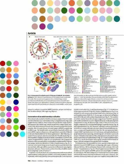 动画配色论文怎么写