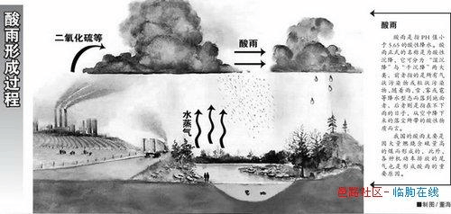 酸雨现象的科学探索:一篇论文背后的环境故事