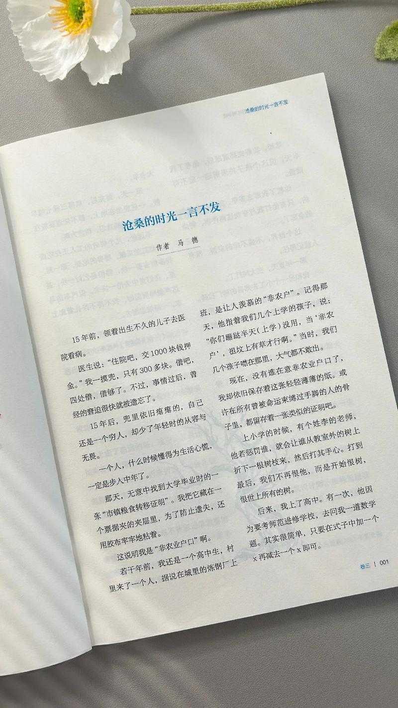 议论文写作的磨刀石：哪些书籍真正能帮你打造吸睛题目？