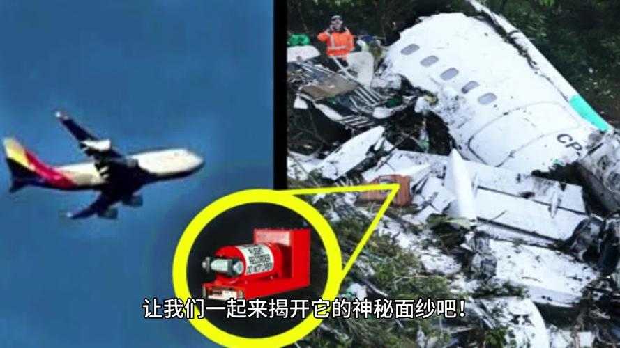 揭开学术界的黑匣子：评审论文到底是什么？