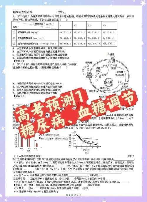 从选题到发表：解锁糖尿病研究的全流程实战指南
