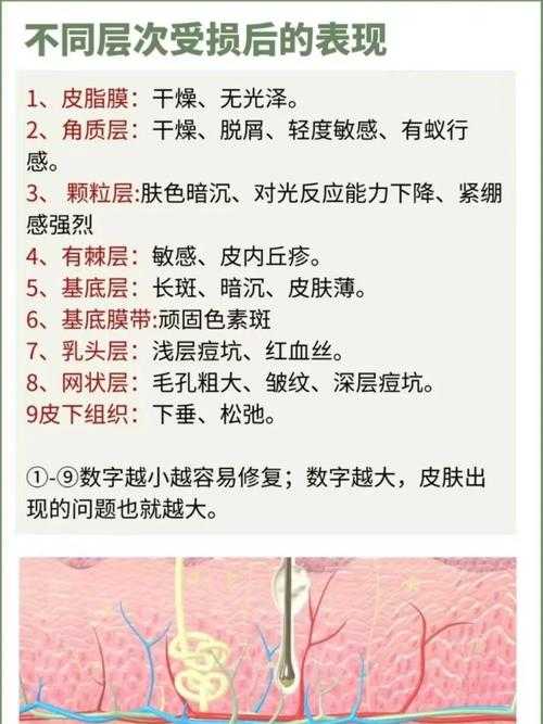 皮肤病根源探索:从遗传到环境的跨学科解析