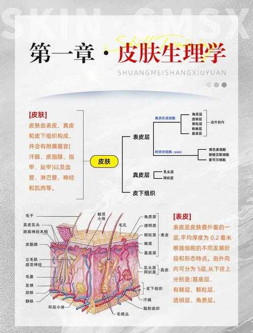 皮肤病根源探索：从遗传到环境的跨学科解析