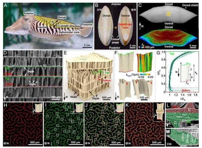 “灌水论文是什么”？揭开学术圈心照不宣的秘密
